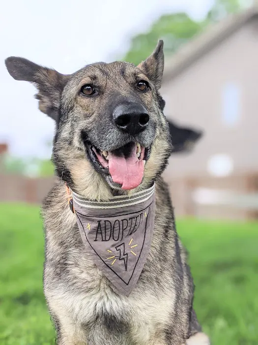 Marketplace Animal Hospital Picture 4