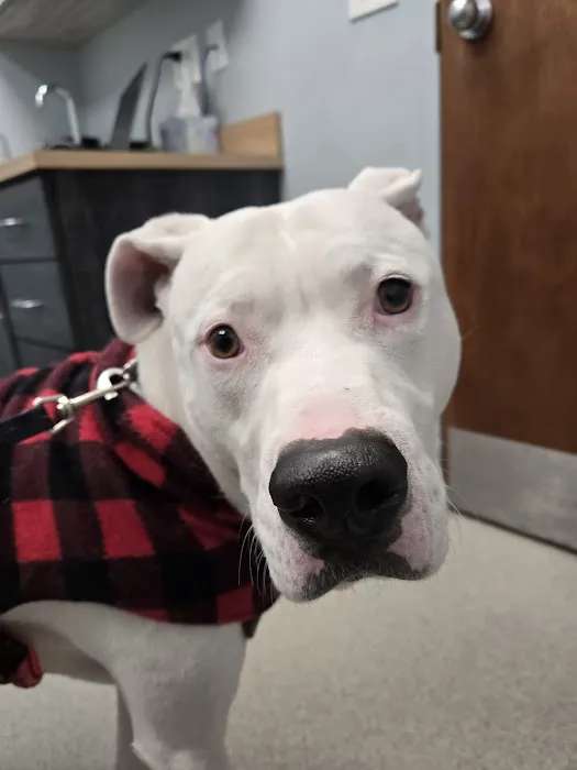 Marketplace Animal Hospital Picture 2