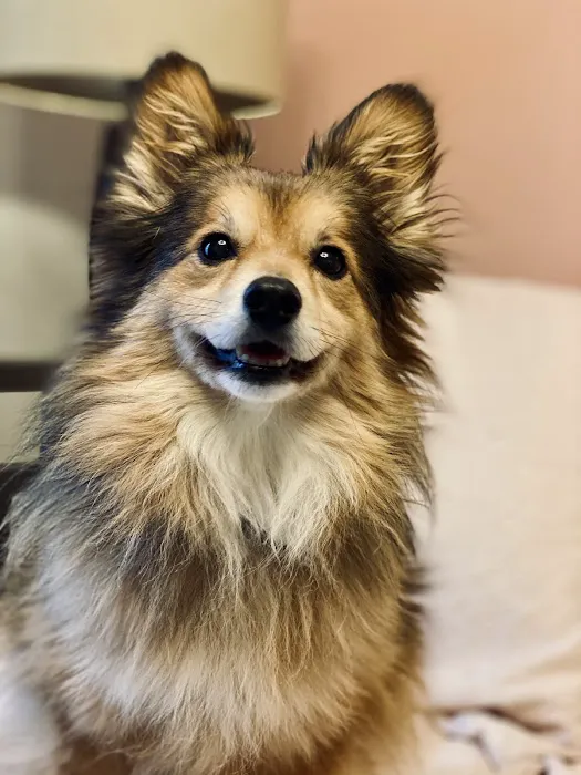 Marketplace Animal Hospital Picture 8