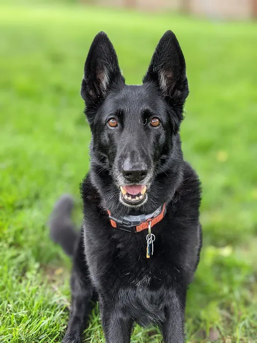 Marketplace Animal Hospital Picture 6