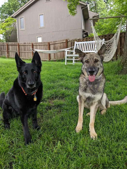 Marketplace Animal Hospital Picture 7