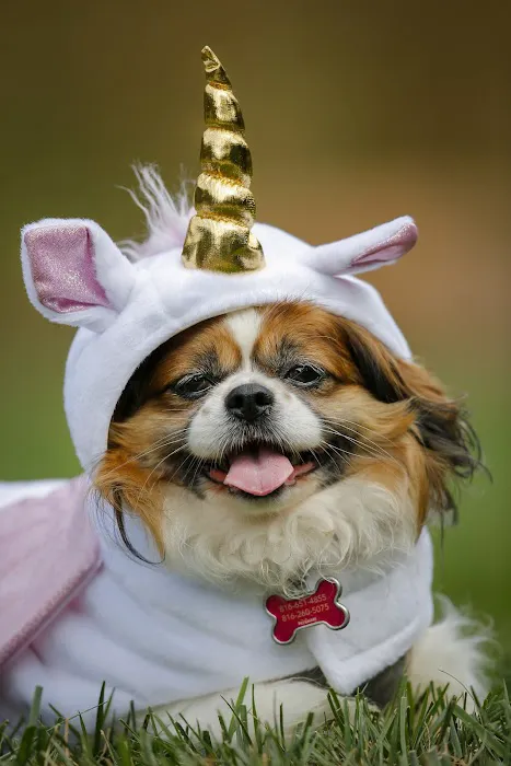 Marketplace Animal Hospital Picture 9