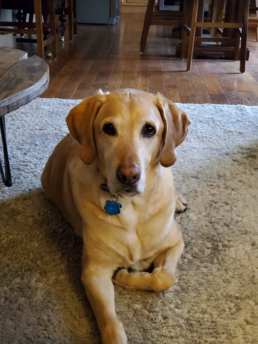 BluePearl Pet Hospital Picture 5