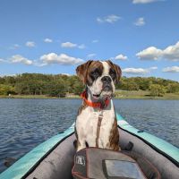 Olathe West Veterinary Care ico