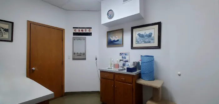 Olathe West Veterinary Care Picture 3