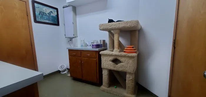 Olathe West Veterinary Care Picture 5