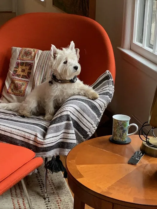 Olathe West Veterinary Care Picture 7