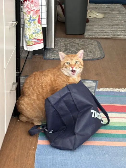 Olathe West Veterinary Care Picture 9