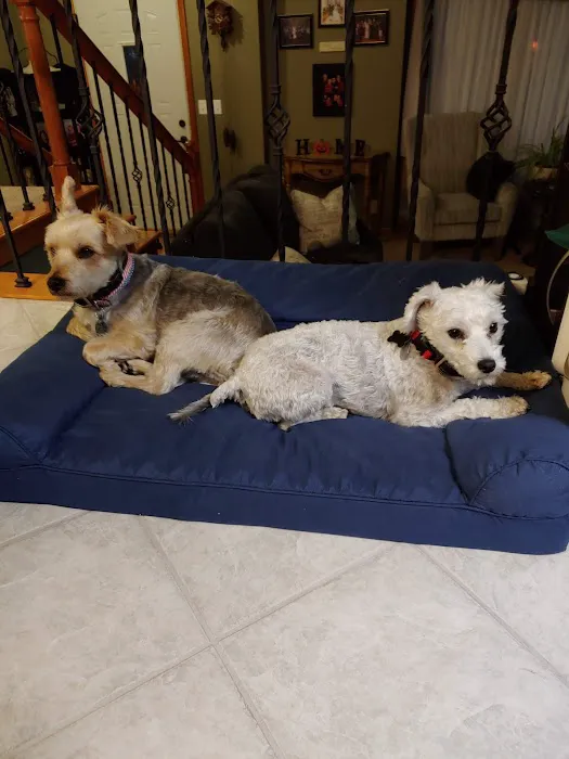 Dr. Todd Knappenberger Picture 1