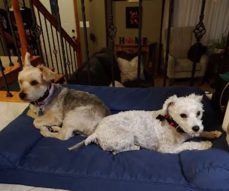 Dr. Todd Knappenberger