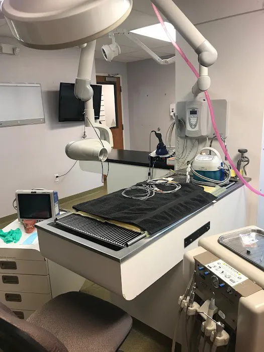 Gardner Animal Hospital Picture 4