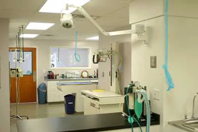 Gardner Animal Hospital Picture 1