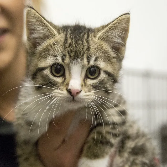 Gardner Animal Hospital Picture 5