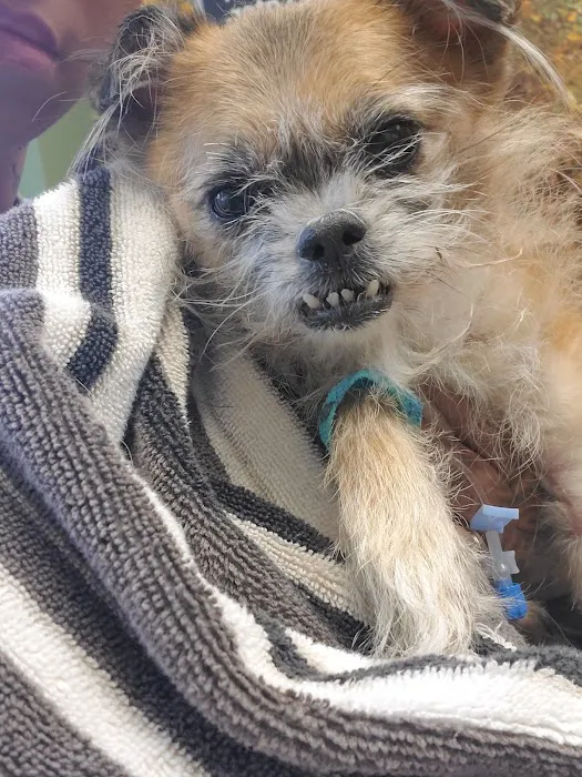 Gardner Animal Hospital Picture 8