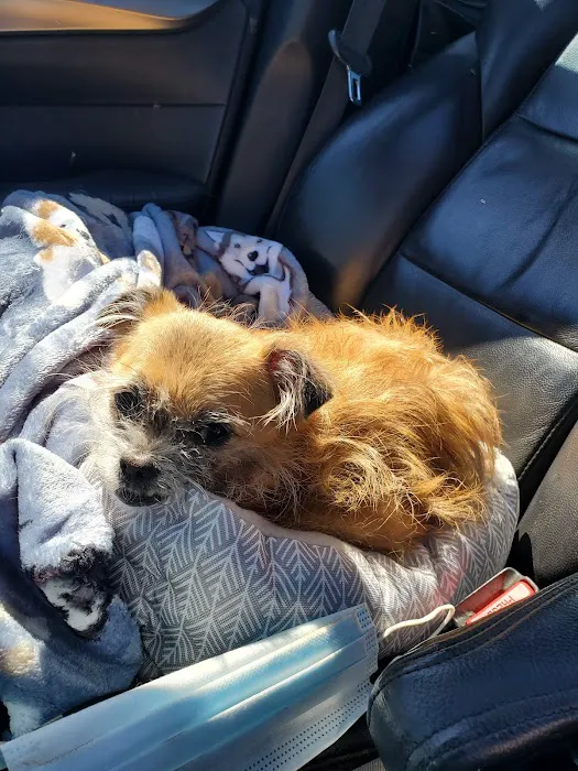 Gardner Animal Hospital Picture 7