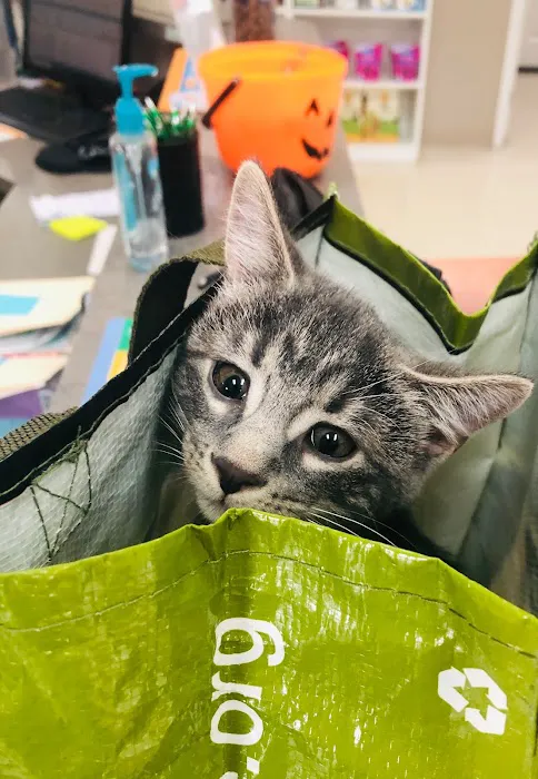 Oakbrook Animal Hospital Picture 6