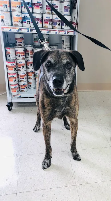 Oakbrook Animal Hospital Picture 8