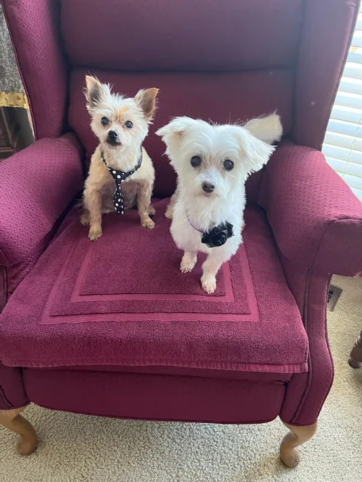 Oakbrook Animal Hospital Picture 10