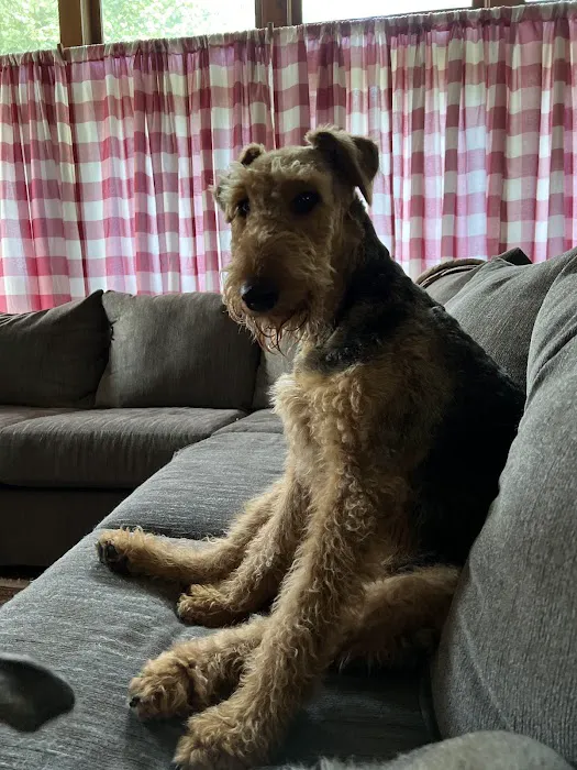 Santa Fe Pet Clinic: Dr. Leslie Wegele, DVM Picture 1