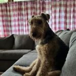 Santa Fe Pet Clinic: Dr. Leslie Wegele, DVM