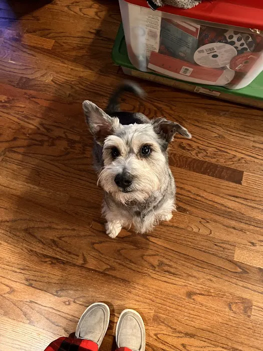 Santa Fe Pet Clinic: Dr. Leslie Wegele, DVM Picture 2