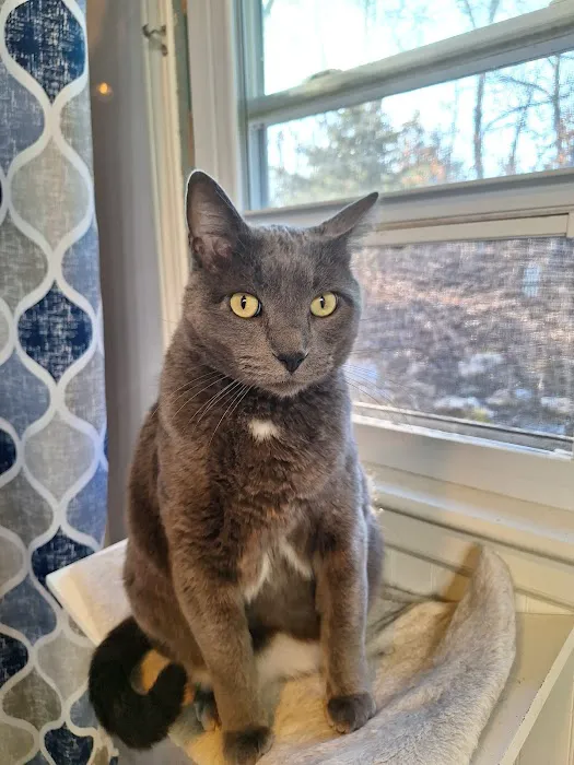 Santa Fe Pet Clinic Picture 2