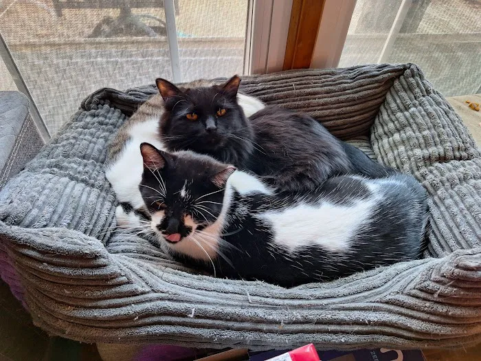 Santa Fe Pet Clinic Picture 4