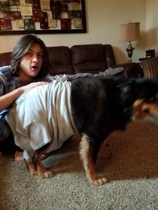 Mur-len Animal Clinic Picture 2