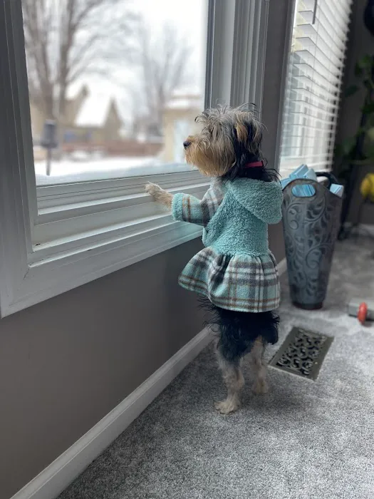 Southwest Plaza Animal Hospital Picture 2