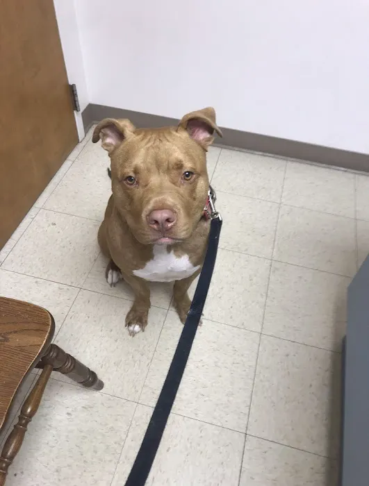 Southwest Plaza Animal Hospital Picture 4