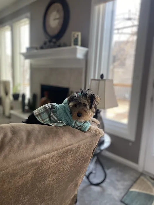 Southwest Plaza Animal Hospital Picture 1