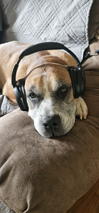 Crest Animal Hospital: Breinin Kara DVM Picture 1