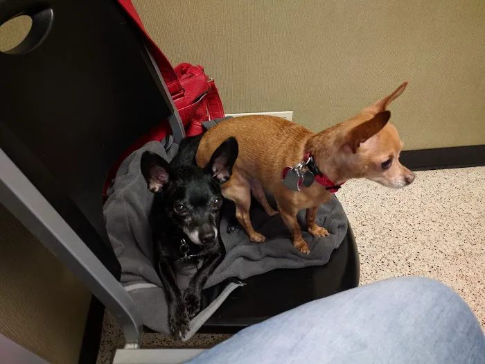 Crest Animal Hospital Picture 1