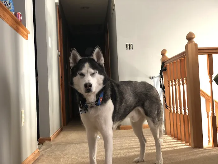 Crest Animal Hospital Picture 5