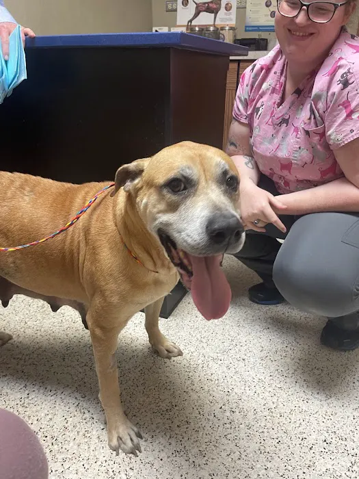 Crest Animal Hospital Picture 4