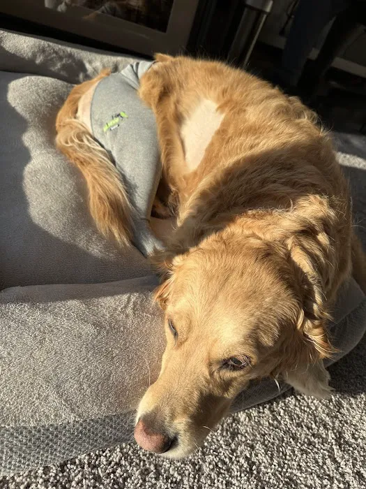 Crest Animal Hospital Picture 10