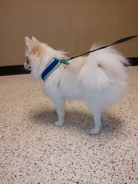 Crest Animal Hospital Picture 7