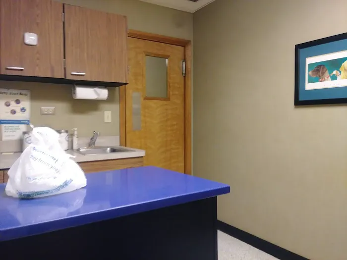 Crest Animal Hospital Picture 8