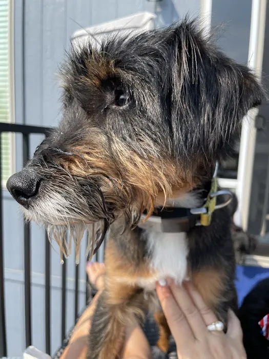 Cass County Animal Hospital Picture 4