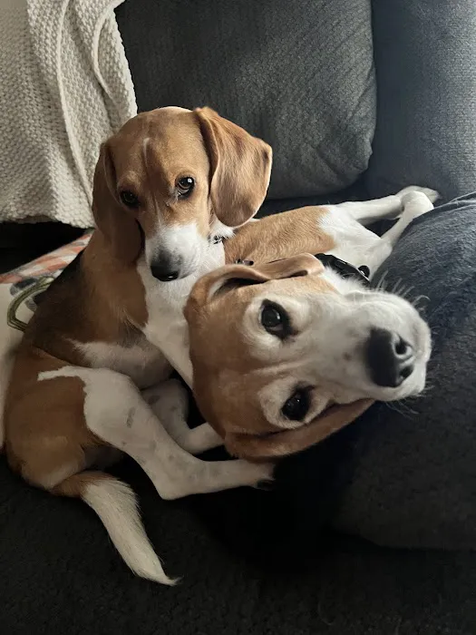 Cass County Animal Hospital Picture 6