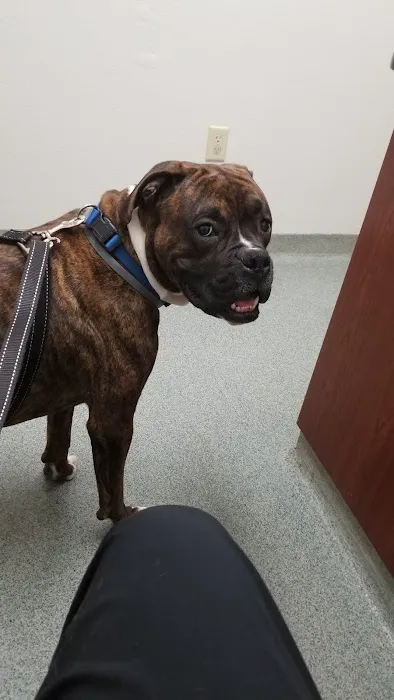 Pleasant Hill Animal Clinic Picture 1