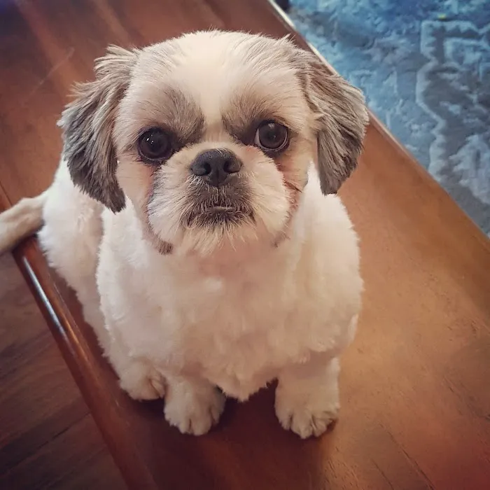 Pleasant Hill Animal Clinic Picture 4