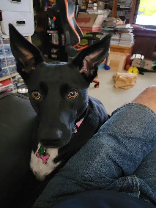 Pleasant Hill Animal Clinic Picture 2