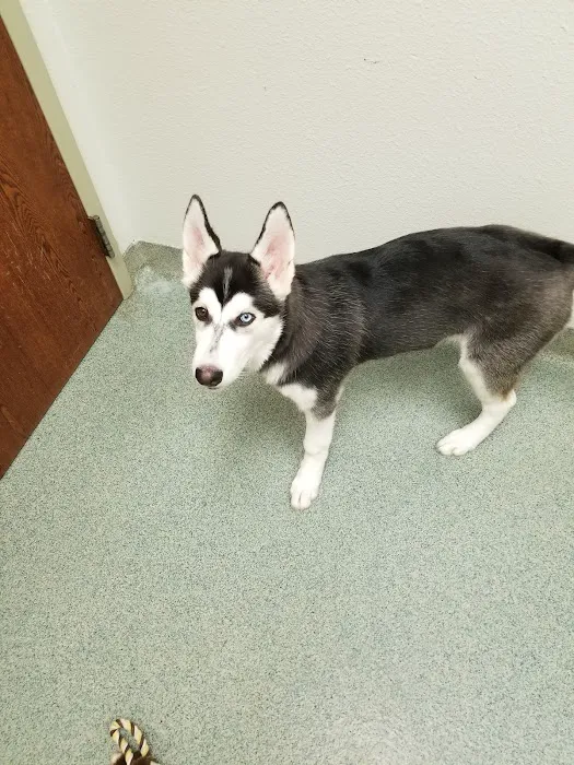 Pleasant Hill Animal Clinic Picture 6