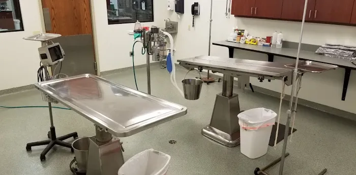 Pleasant Hill Animal Clinic Picture 8