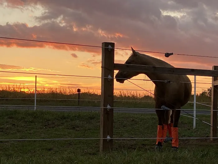 Wilhite & Frees Equine Hospital Picture 2