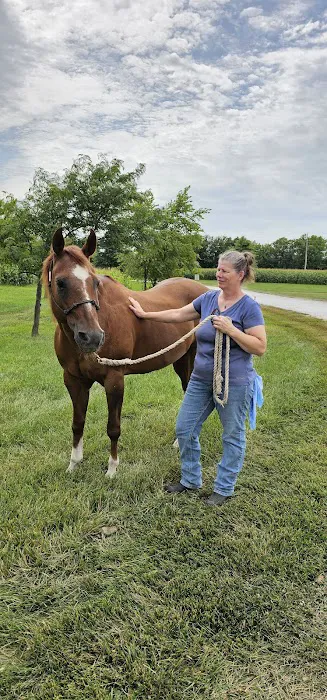 Wilhite & Frees Equine Hospital Picture 7