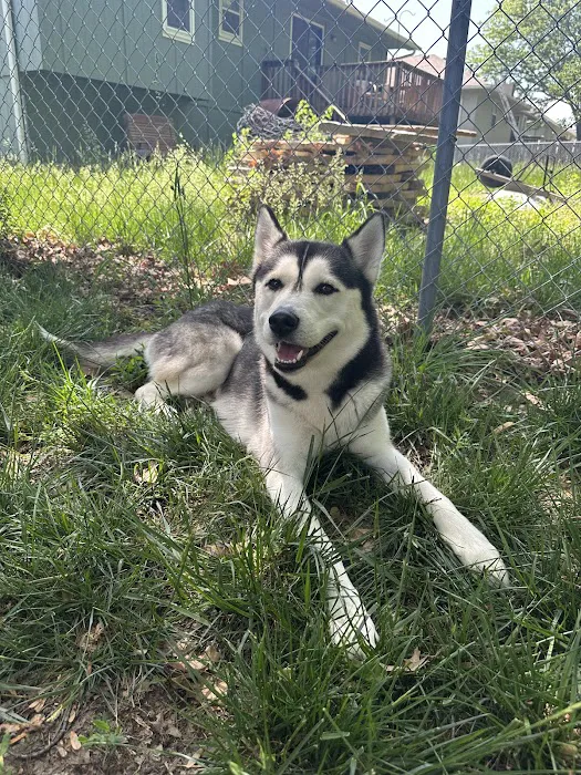 Belton Veterinary Center Picture 1