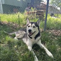 Belton Veterinary Center ico