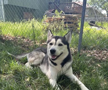 Belton Veterinary Center